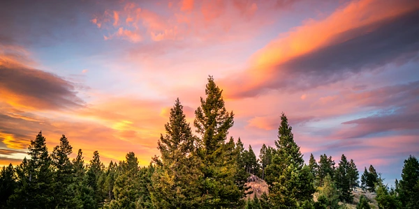 Grateful Journeys Photography